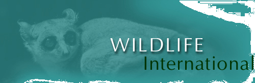 Wildlife International